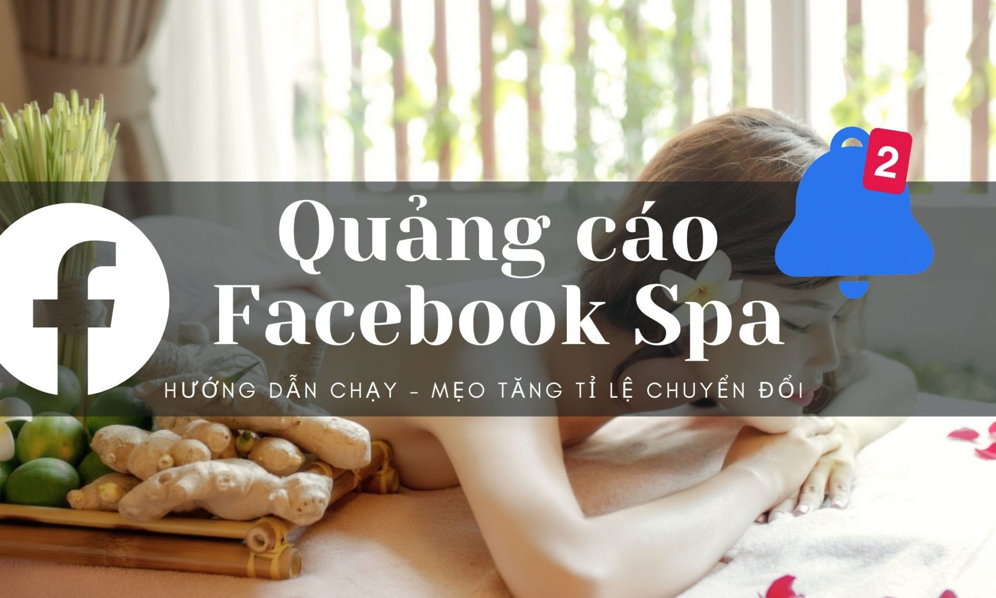 WeMark - Đối tác tin cậy giúp spa của bạn chạy quảng cáo hiệu quả và bền vững